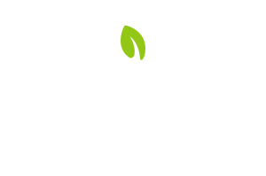 VITA ALIMENTOS C.A.